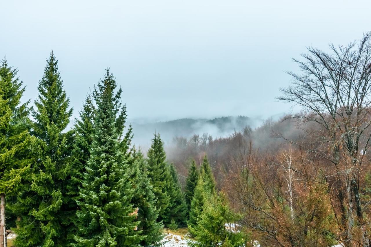 Apartmani “Lazar” I “Lena” Kopaonik Dış mekan fotoğraf